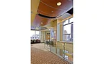 CEU Rockfon Metal Ceilings
