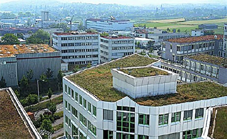 vegetative roofing system