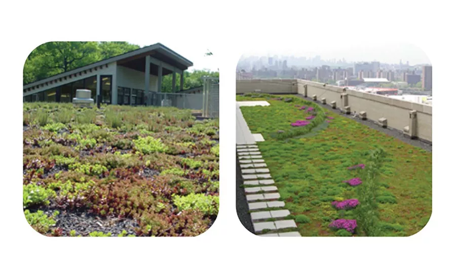 vegetative roofing system