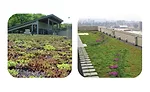 vegetative roofing system