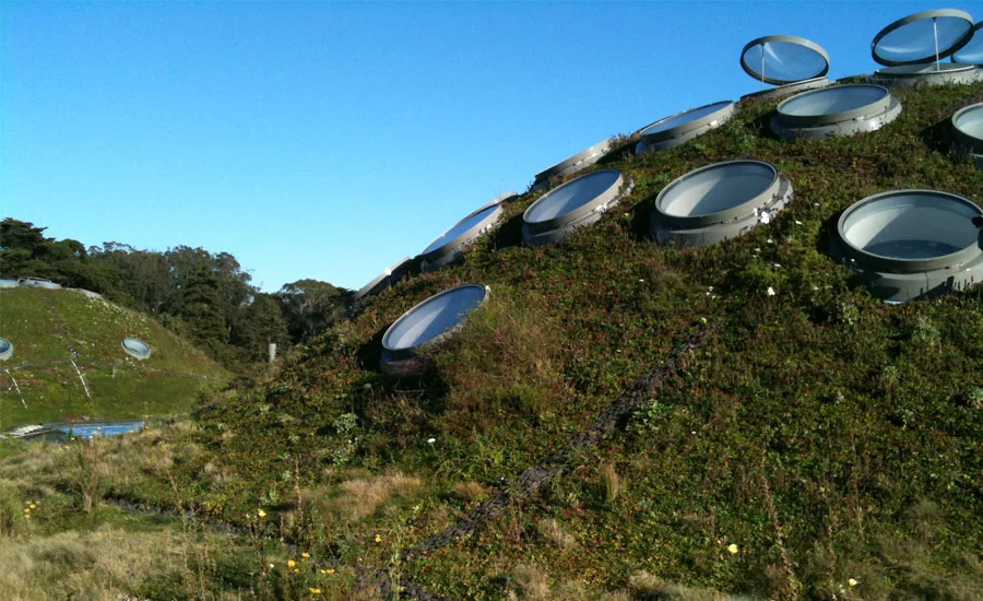 Building Enclosure Solutions