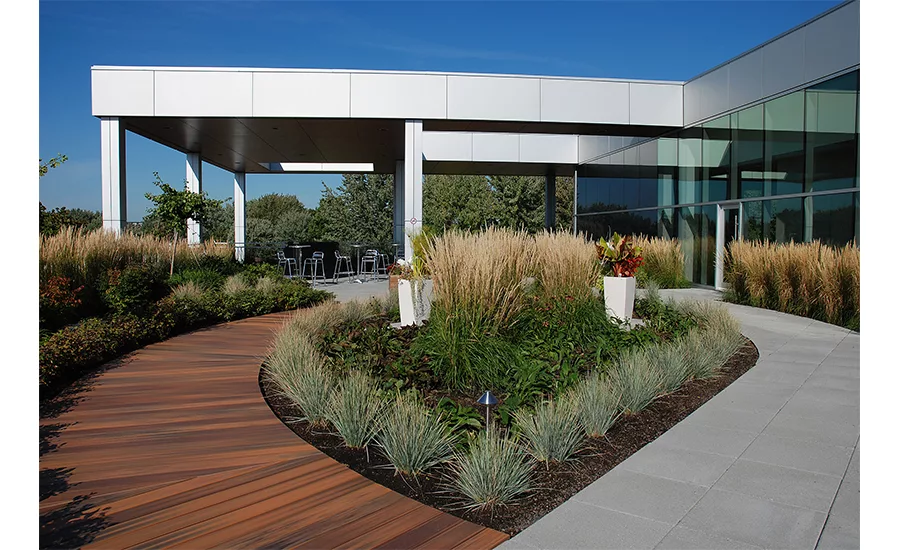 Green roofs