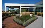 Green roofs
