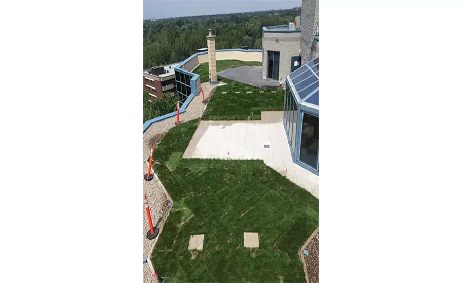 Green roofs