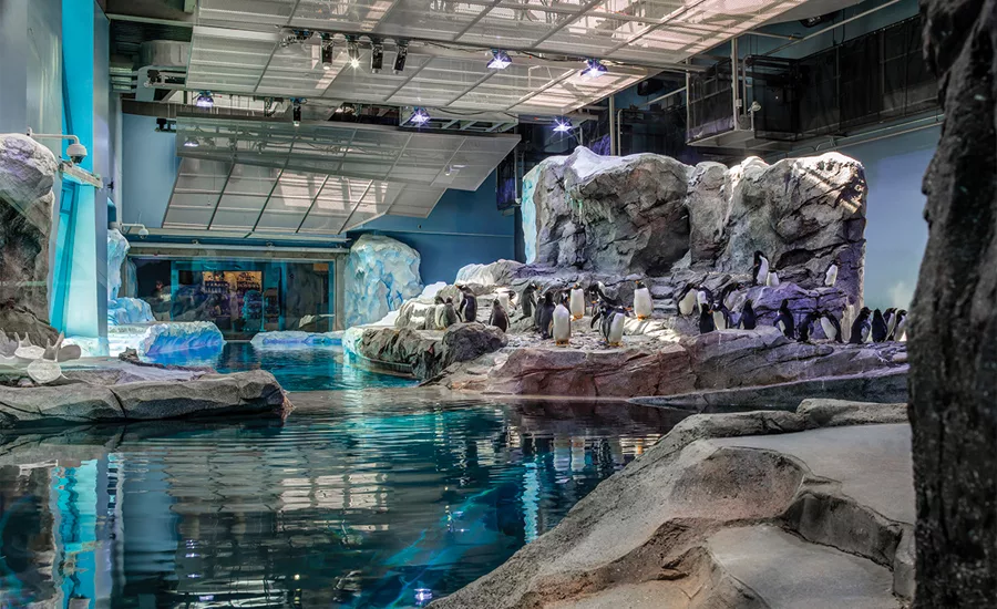 Polk Penguin Conservation Center