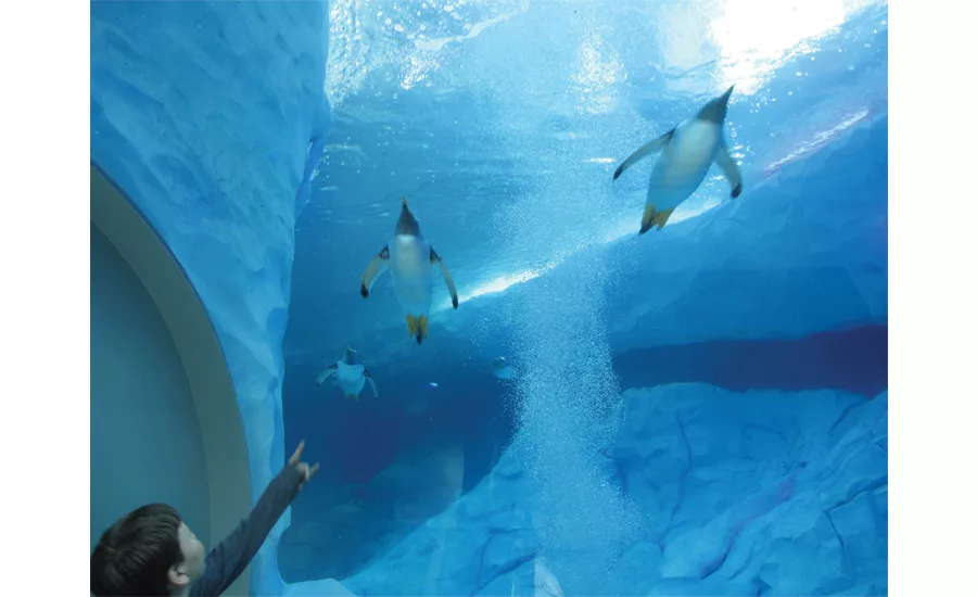 Polk Penguin Conservation Center