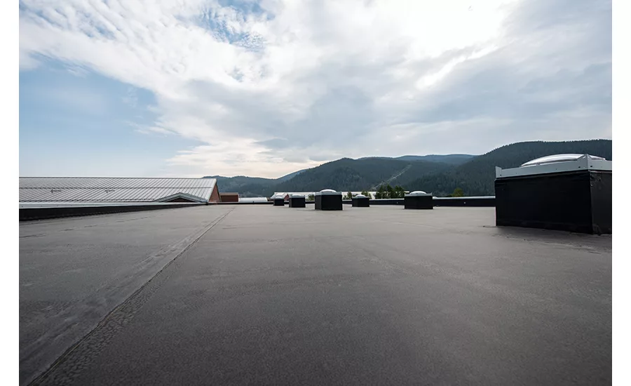 Single-Ply Roofing Systems